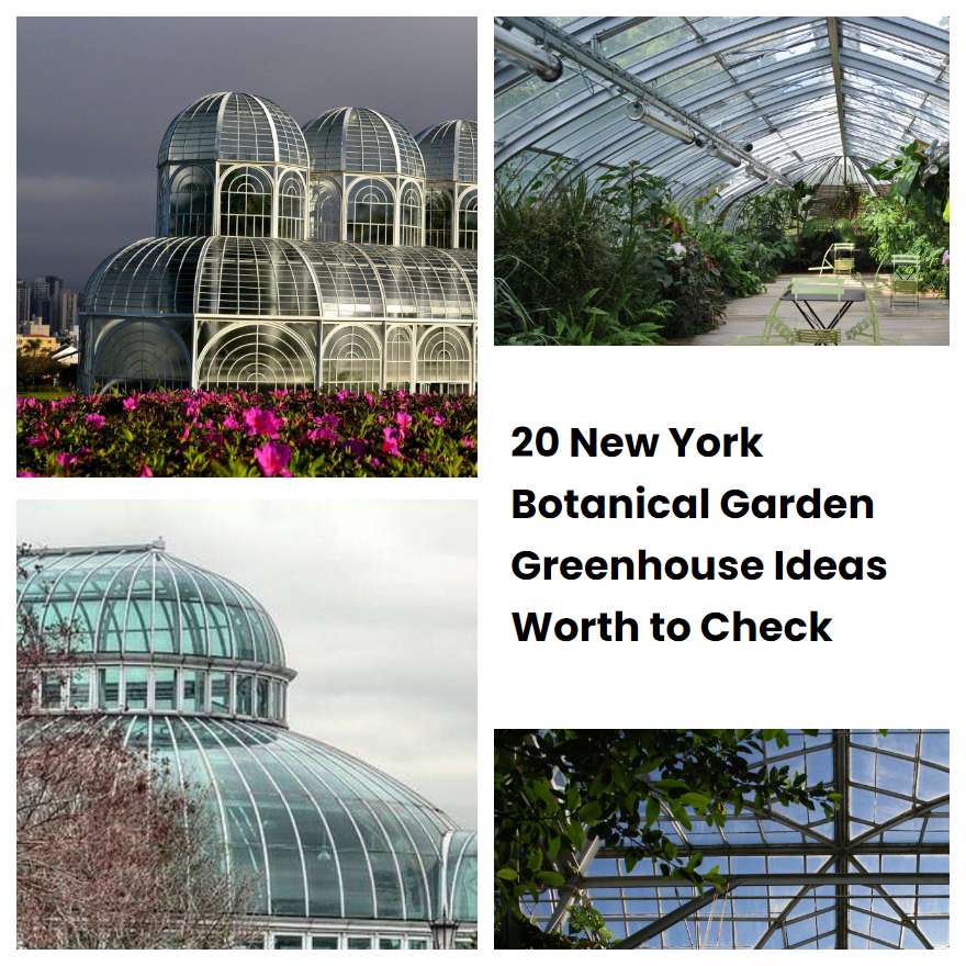 20 New York Botanical Garden Greenhouse Ideas Worth to Check