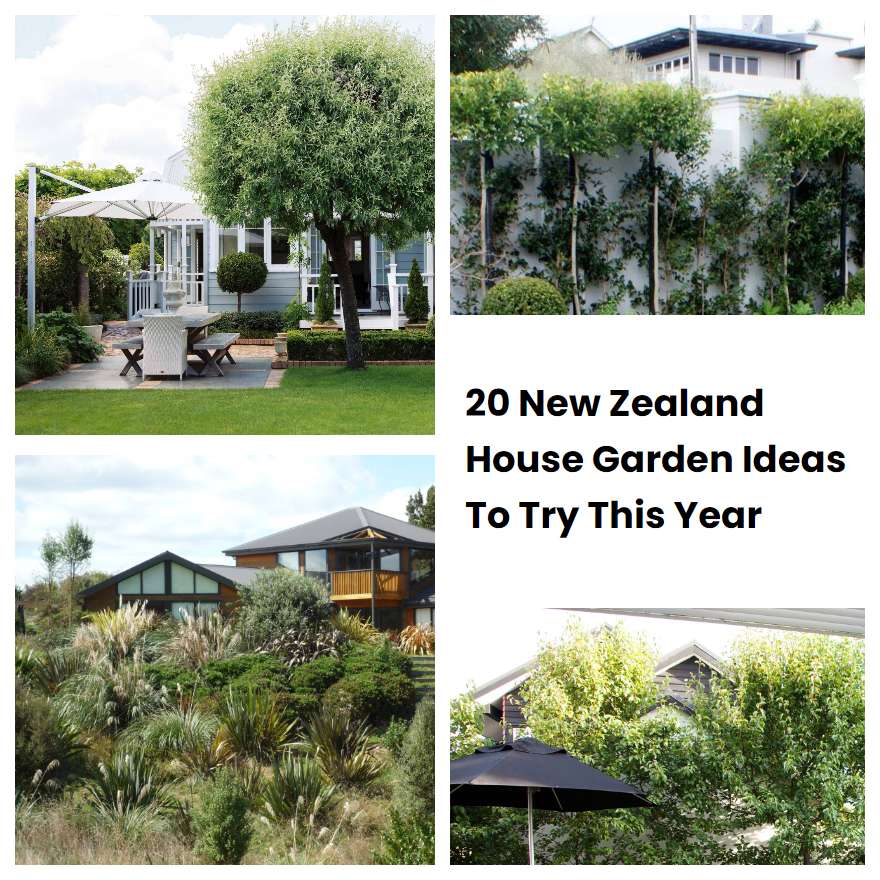 20 New Zealand House Garden Ideas To Try This Year