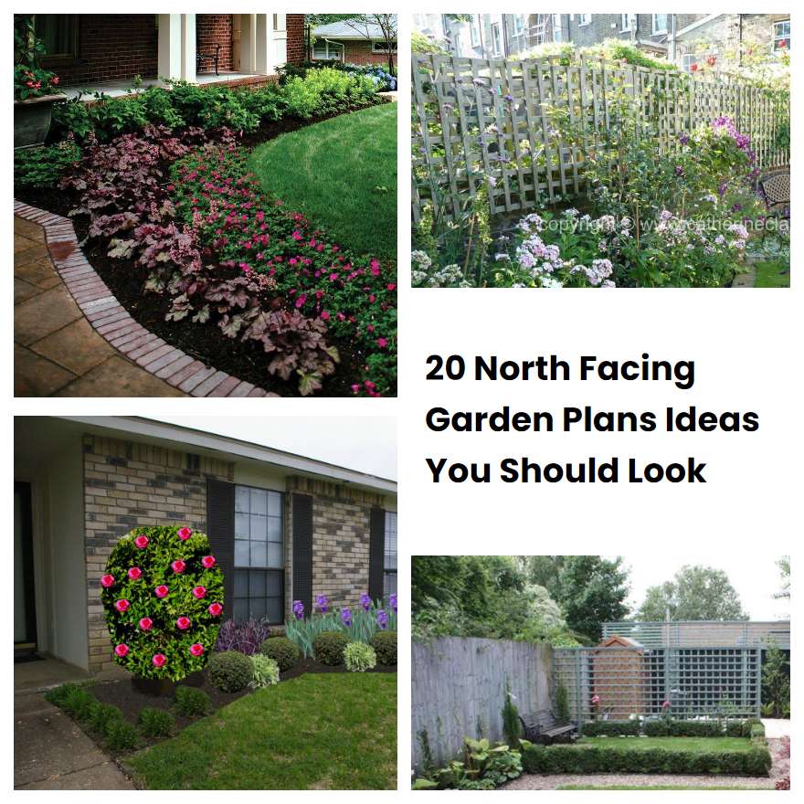 20 North Facing Garden Plans Ideas You Should Look