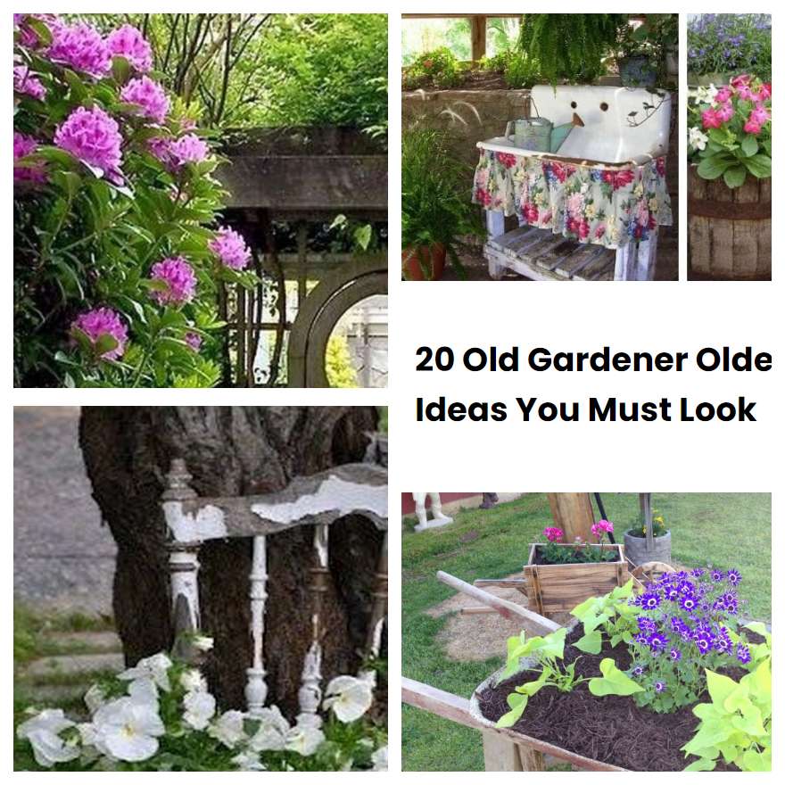 20 Old Gardener Older Ideas You Must Look
