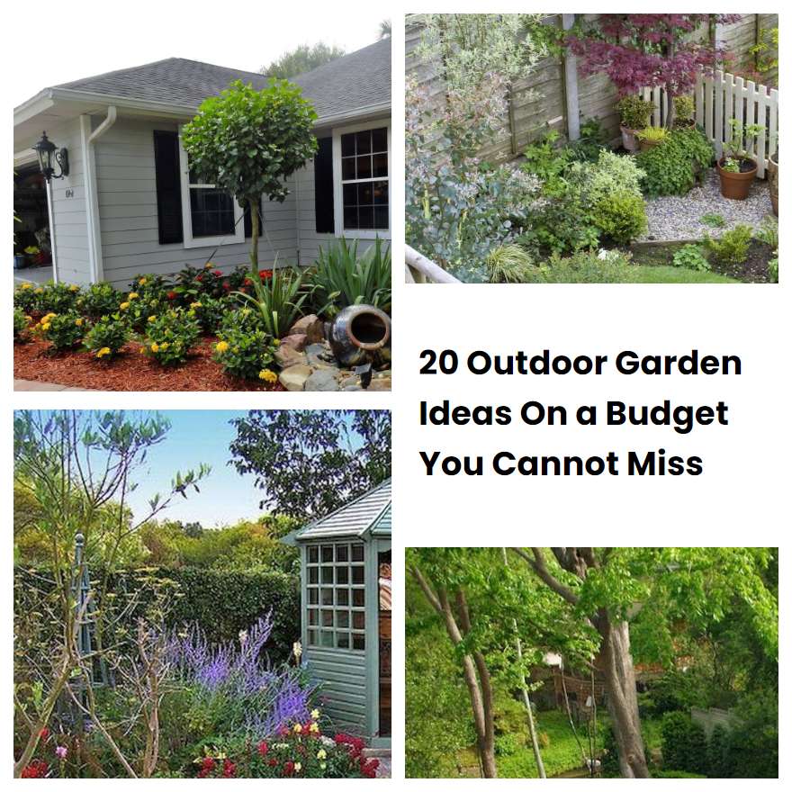 20 Outdoor Garden Ideas On a Budget You Cannot Miss