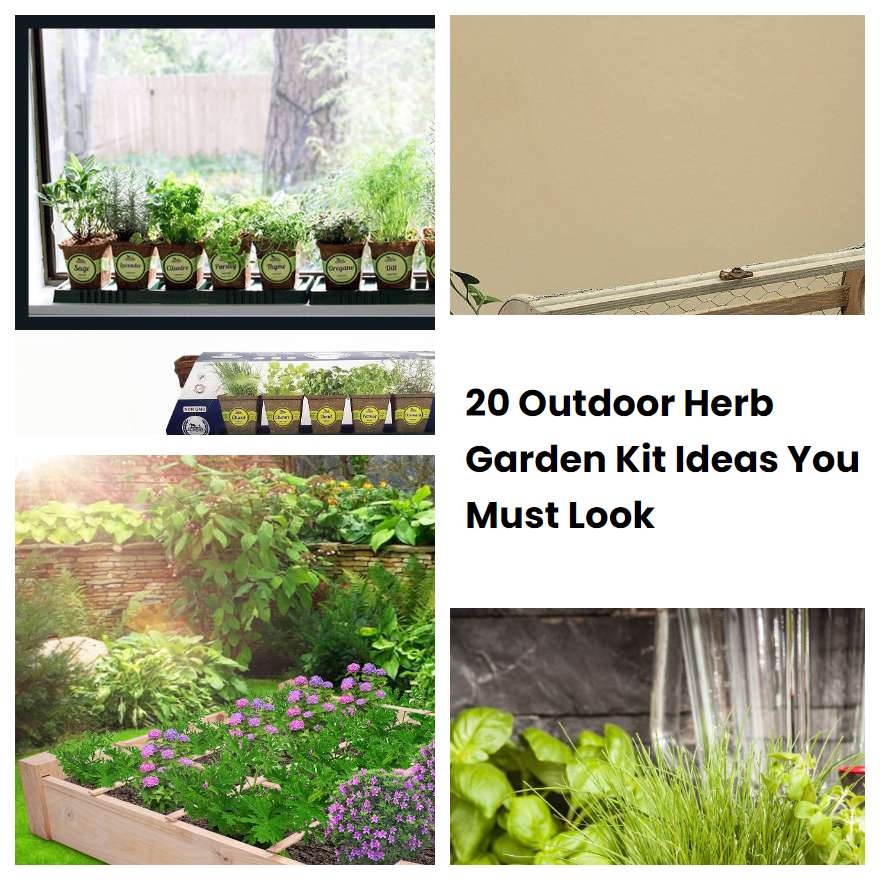 20 Outdoor Herb Garden Kit Ideas You Must Look
