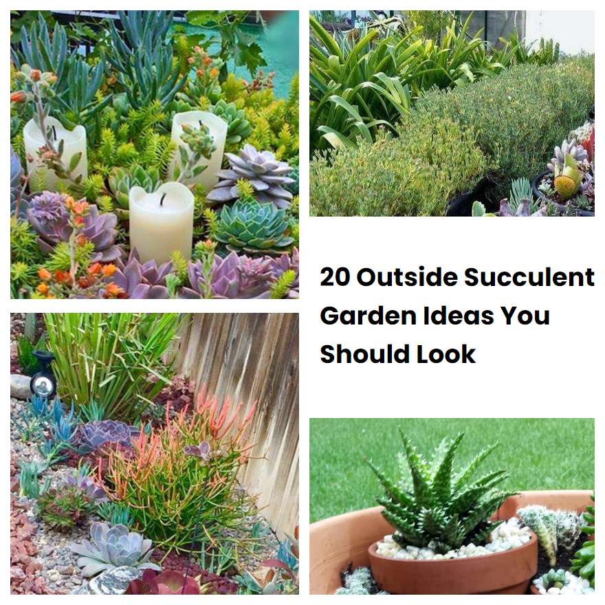 20 Outside Succulent Garden Ideas You Should Look