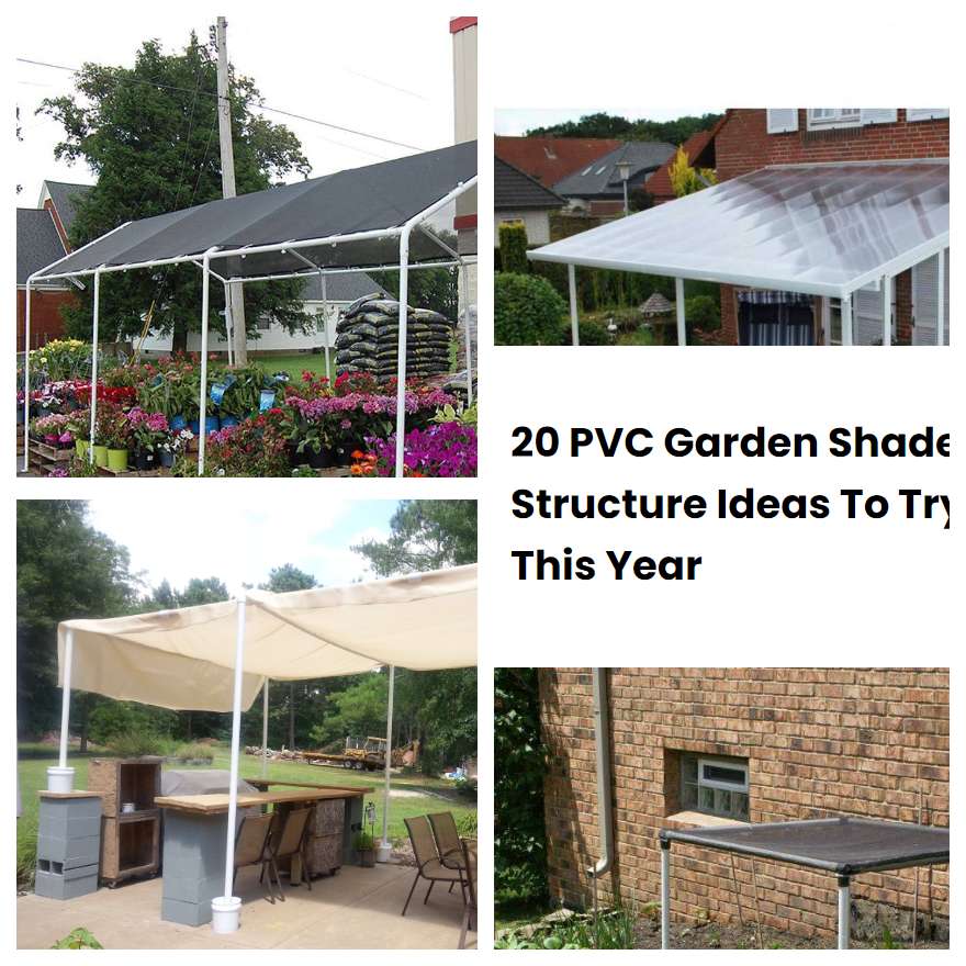 20 PVC Garden Shade Structure Ideas To Try This Year SharonSable