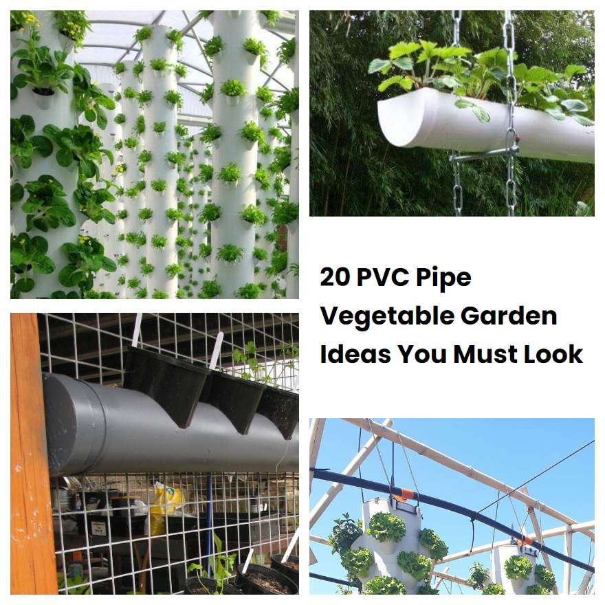 20 PVC Pipe Vegetable Garden Ideas You Must Look