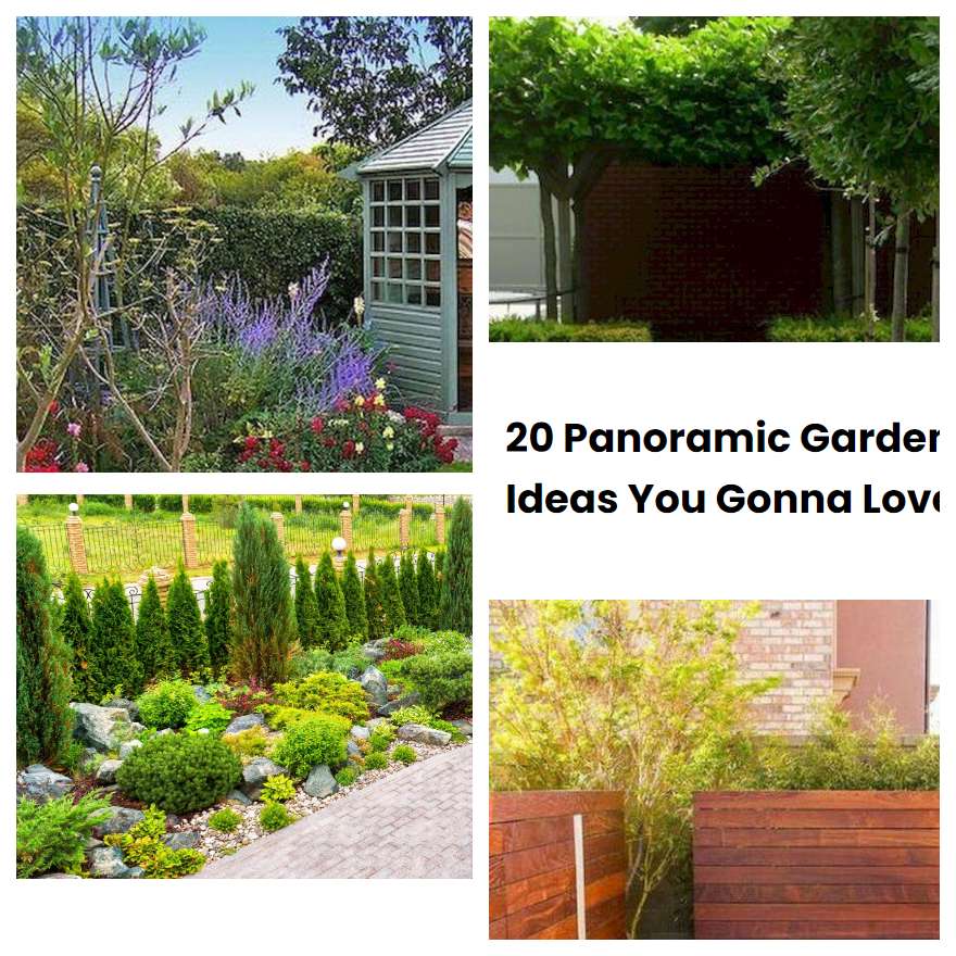 20 Panoramic Garden Ideas You Gonna Love