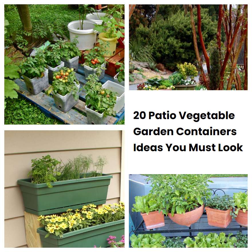 20 Patio Vegetable Garden Containers Ideas You Must Look SharonSable