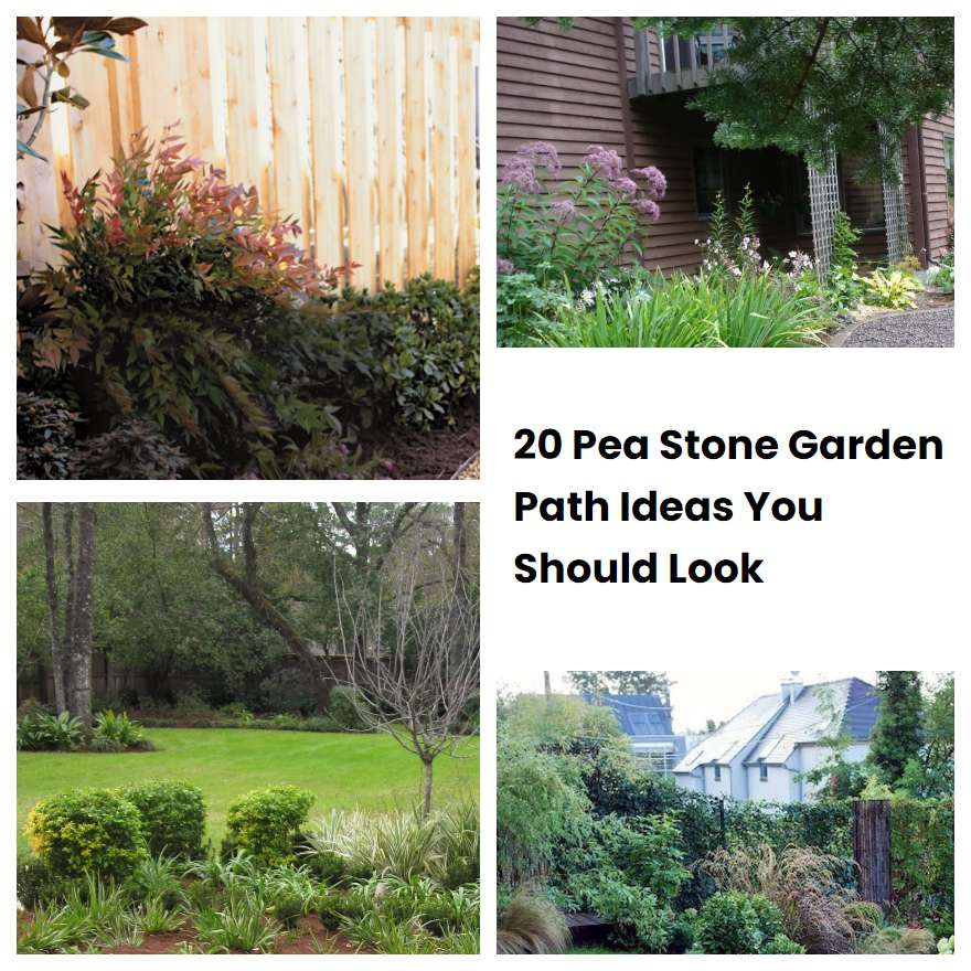 20 Pea Stone Garden Path Ideas You Should Look SharonSable