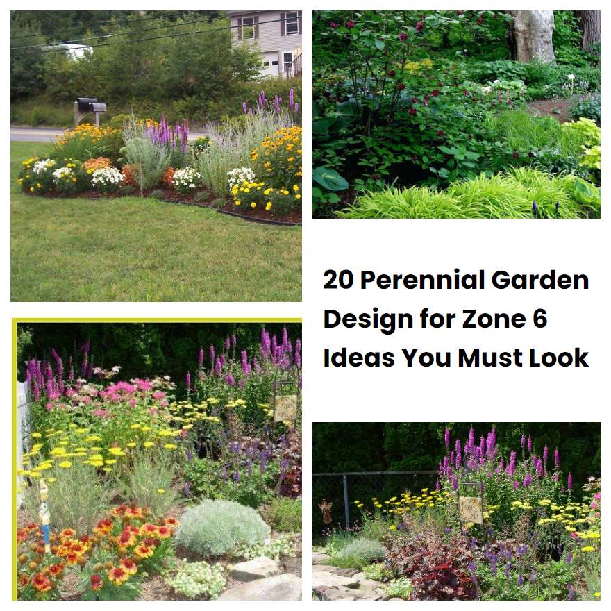 20 Perennial Garden Design for Zone 6 Ideas You Must Look SharonSable