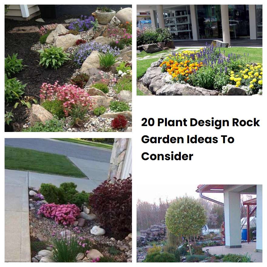 20 Plant Design Rock Garden Ideas To Consider