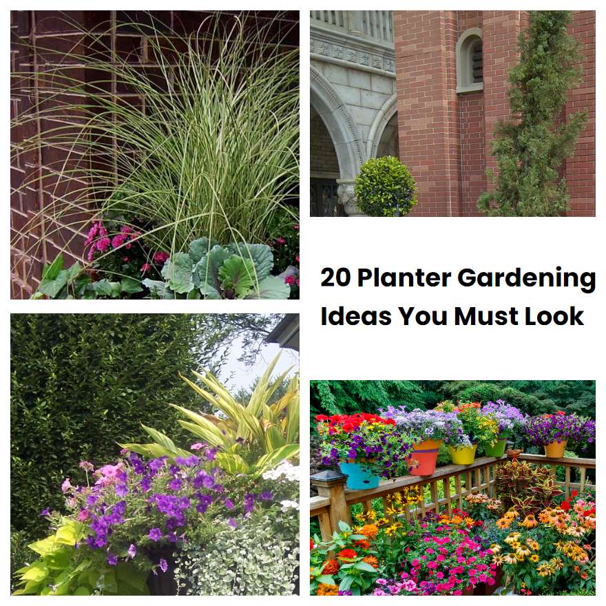 20 Planter Gardening Ideas You Must Look SharonSable