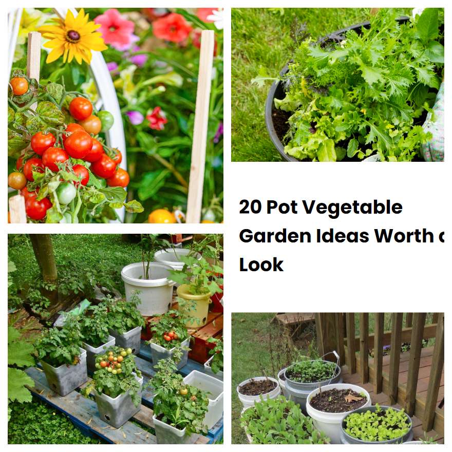 20 Pot Vegetable Garden Ideas Worth a Look SharonSable