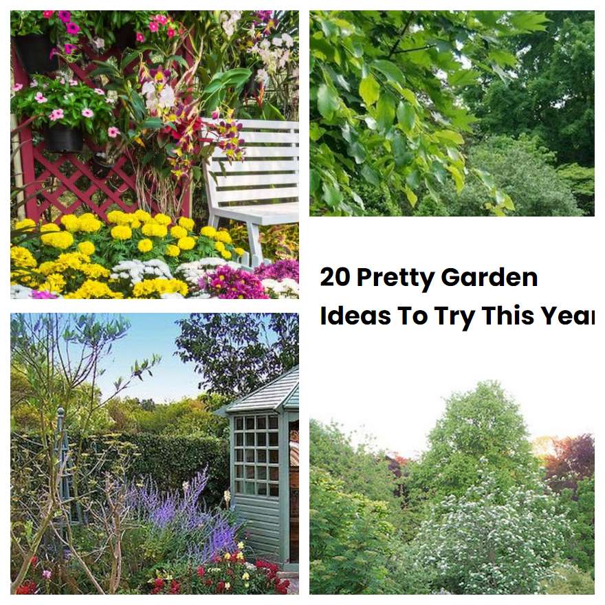 20 Pretty Garden Ideas To Try This Year