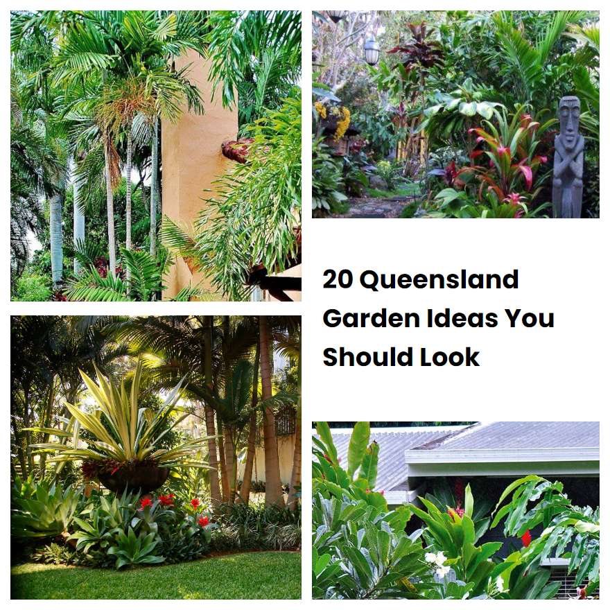 20 Queensland Garden Ideas You Should Look