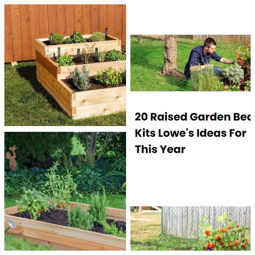 20 Raised Garden Bed Kits Lowes Ideas For This Year SharonSable