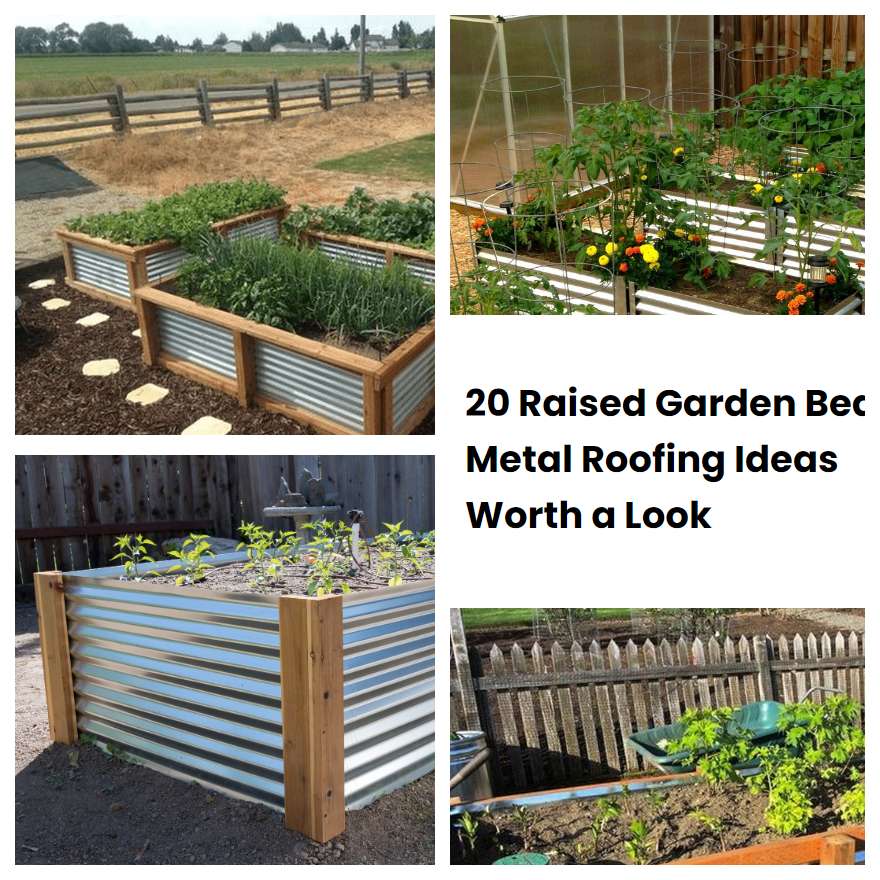 20 Raised Garden Bed Metal Roofing Ideas Worth a Look