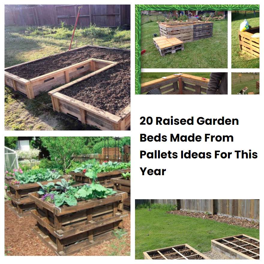 20 Raised Garden Beds Made From Pallets Ideas For This Year