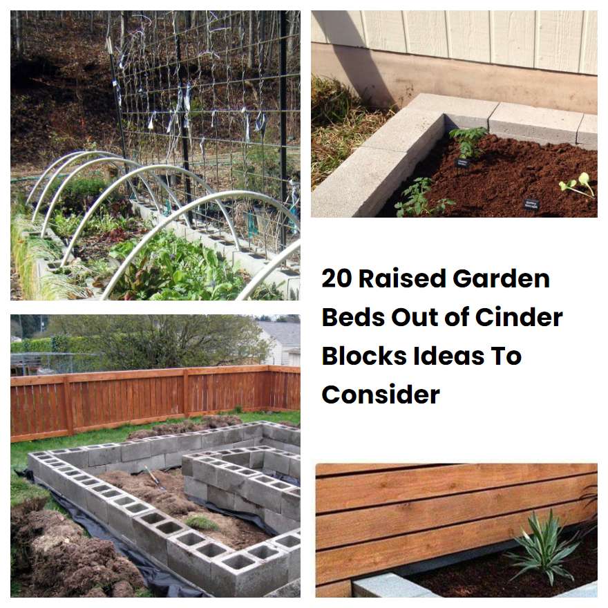 20 Raised Garden Beds Out of Cinder Blocks Ideas To Consider SharonSable