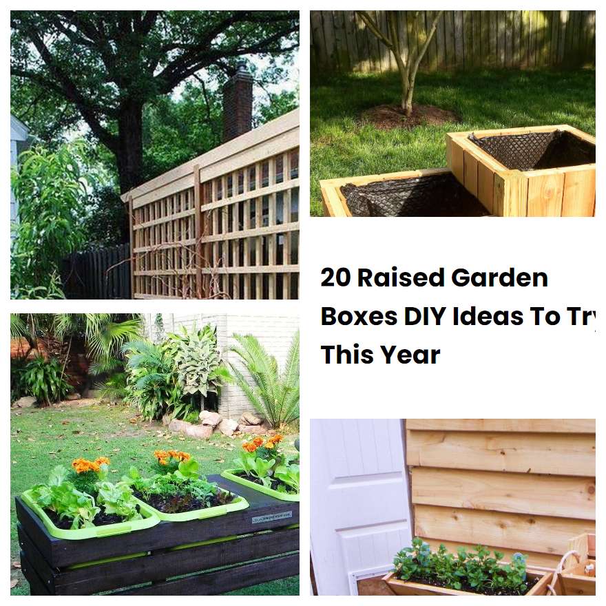 20 Raised Garden Boxes DIY Ideas To Try This Year SharonSable