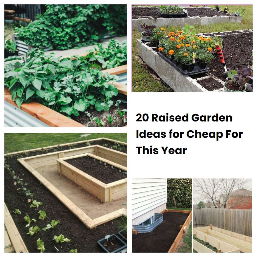 20 Raised Garden Ideas for Cheap For This Year