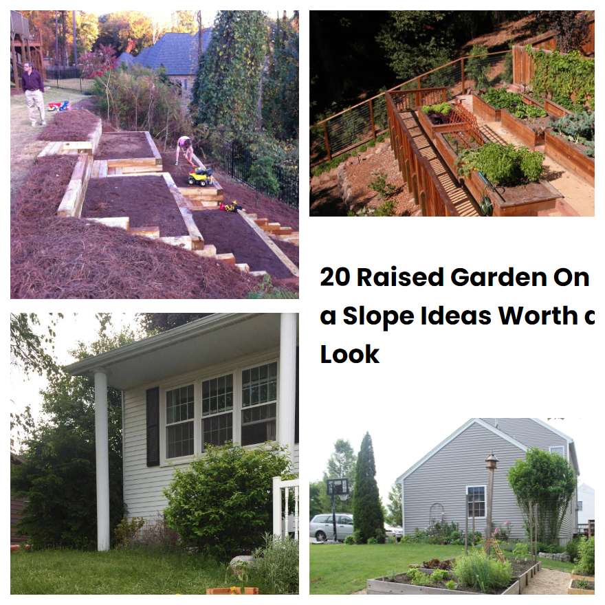 20 Raised Garden On a Slope Ideas Worth a Look SharonSable