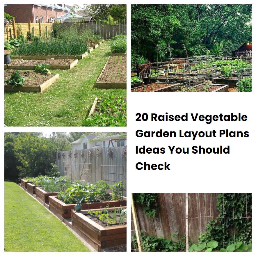 20 Raised Vegetable Garden Layout Plans Ideas You Should Check