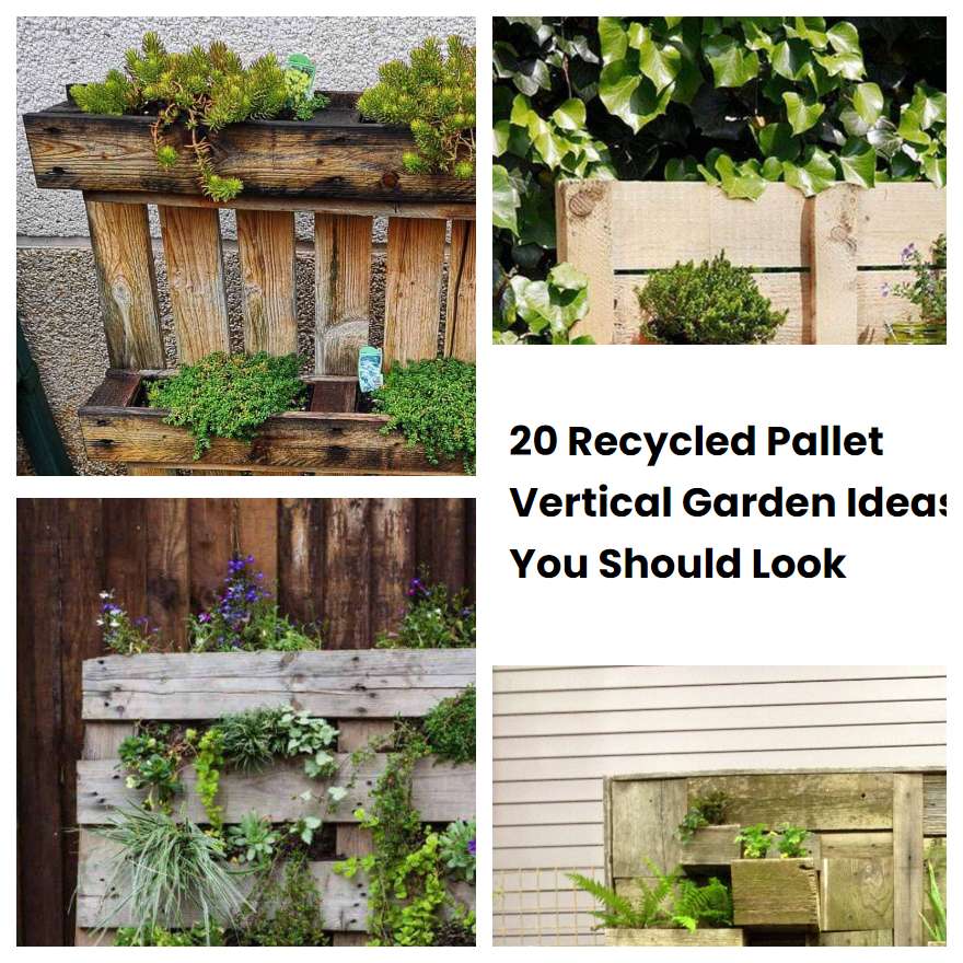 20 Recycled Pallet Vertical Garden Ideas You Should Look
