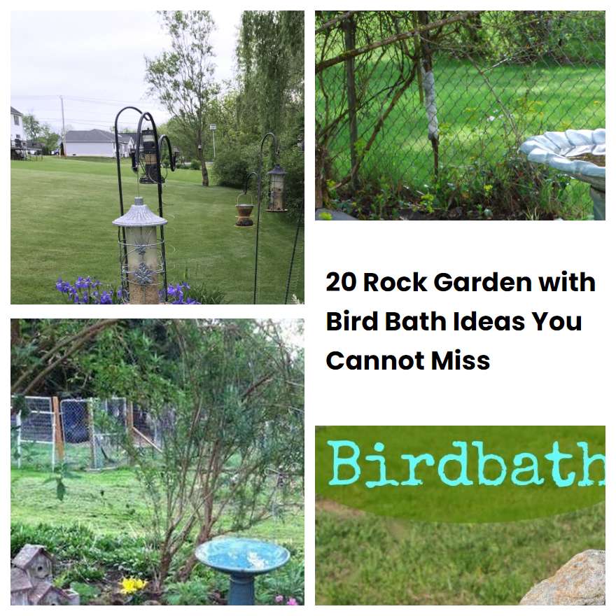 20 Rock Garden with Bird Bath Ideas You Cannot Miss SharonSable