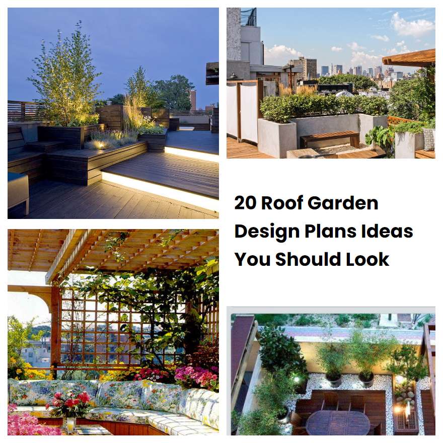 20 Roof Garden Design Plans Ideas You Should Look SharonSable