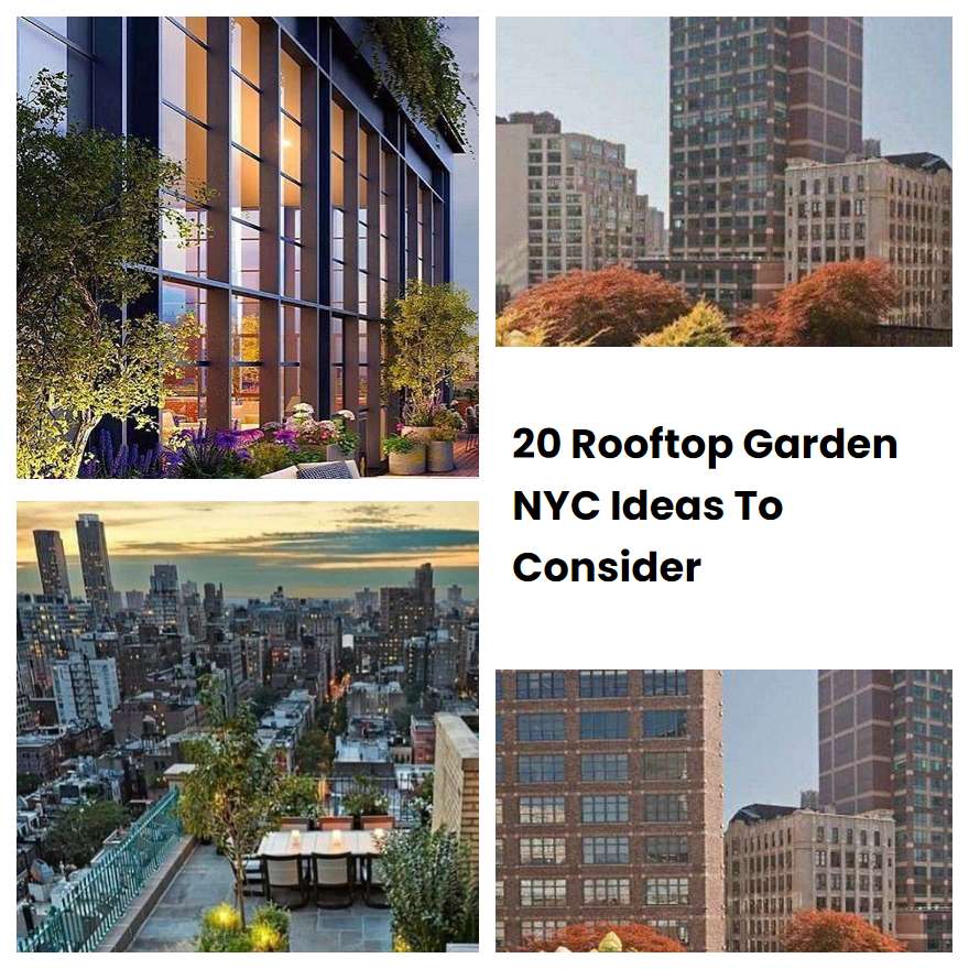 20 Rooftop Garden NYC Ideas To Consider