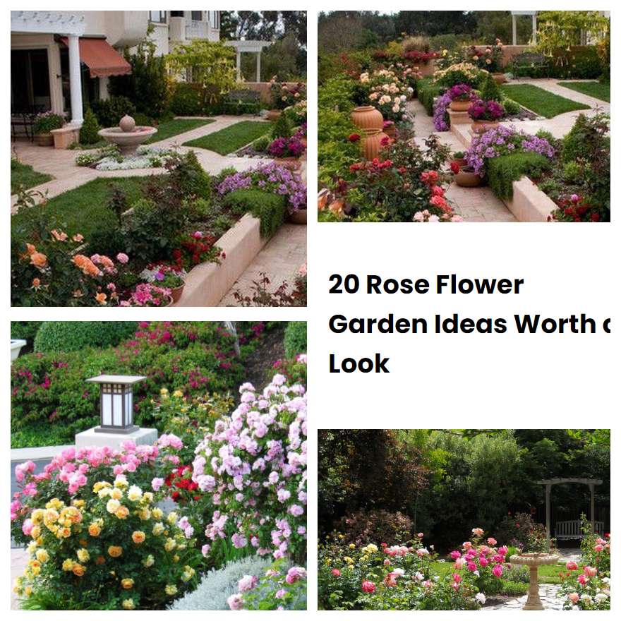 20 Rose Flower Garden Ideas Worth a Look