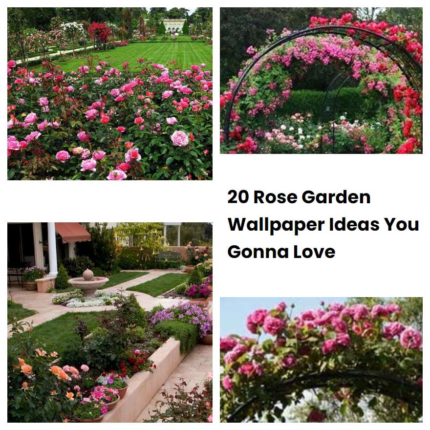 20 Rose Garden Wallpaper Ideas You Gonna Love