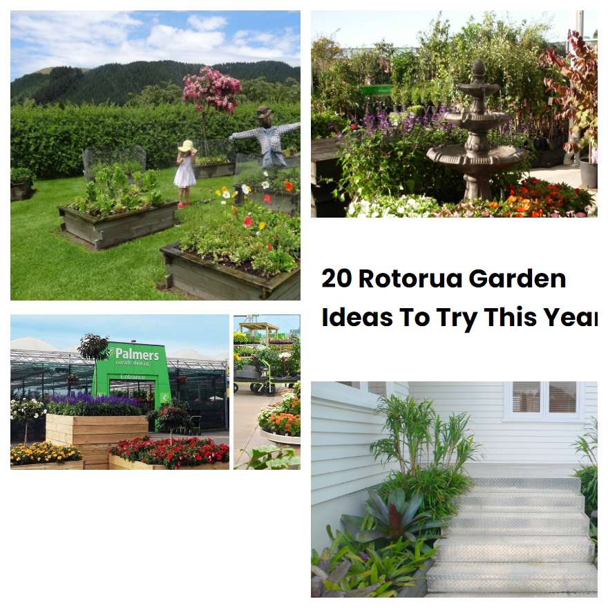 20 Rotorua Garden Ideas To Try This Year SharonSable
