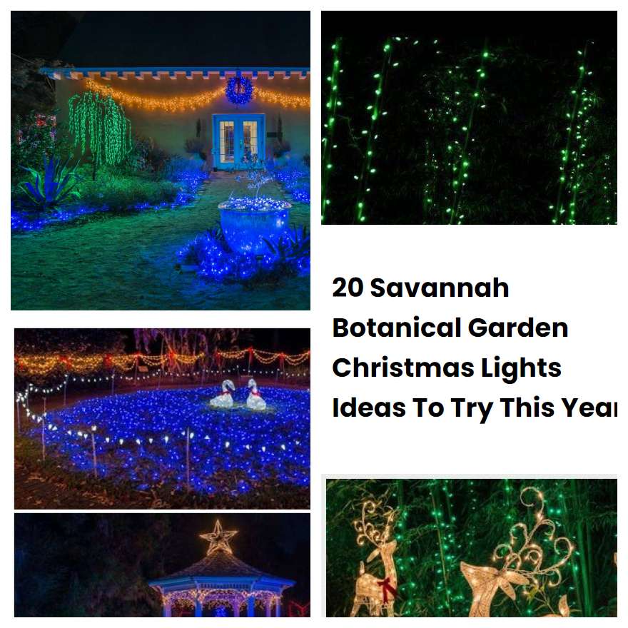 20 Savannah Botanical Garden Christmas Lights Ideas To Try This Year