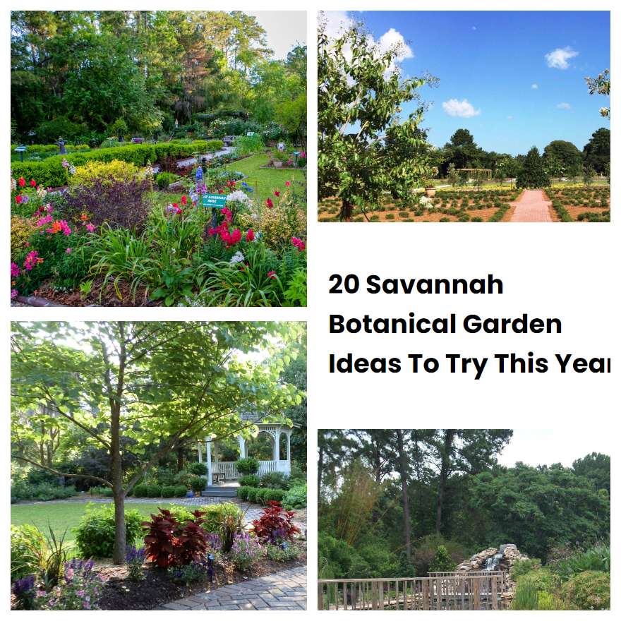 20 Savannah Botanical Garden Ideas To Try This Year