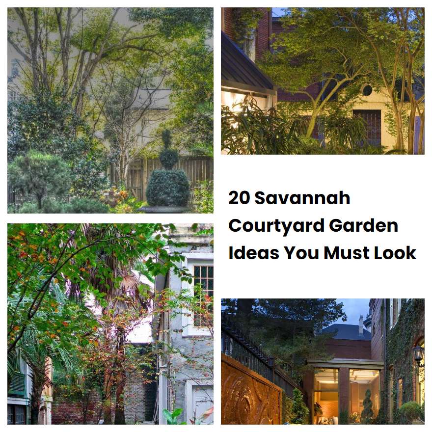 20 Savannah Courtyard Garden Ideas You Must Look