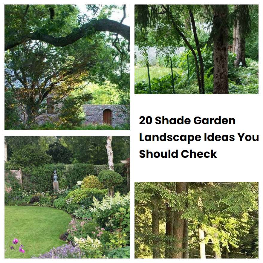 20 Shade Garden Landscape Ideas You Should Check