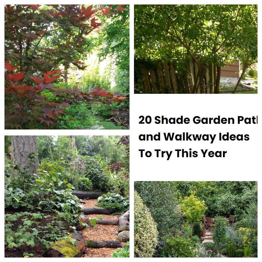 20 Shade Garden Path and Walkway Ideas To Try This Year