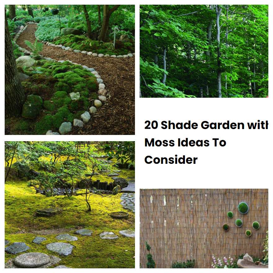 20 Shade Garden with Moss Ideas To Consider