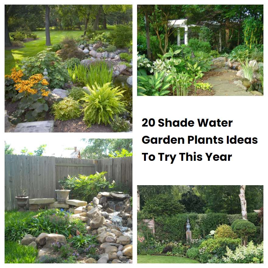 20 Shade Water Garden Plants Ideas To Try This Year