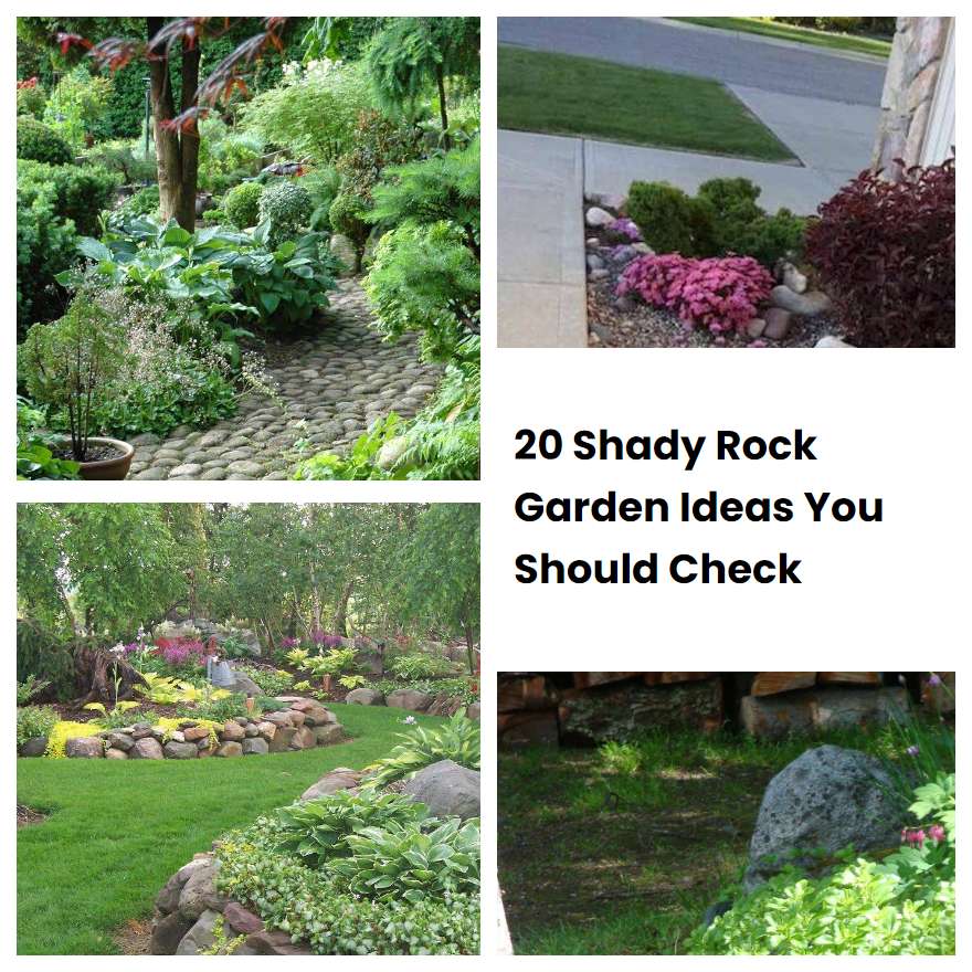 20 Shady Rock Garden Ideas You Should Check