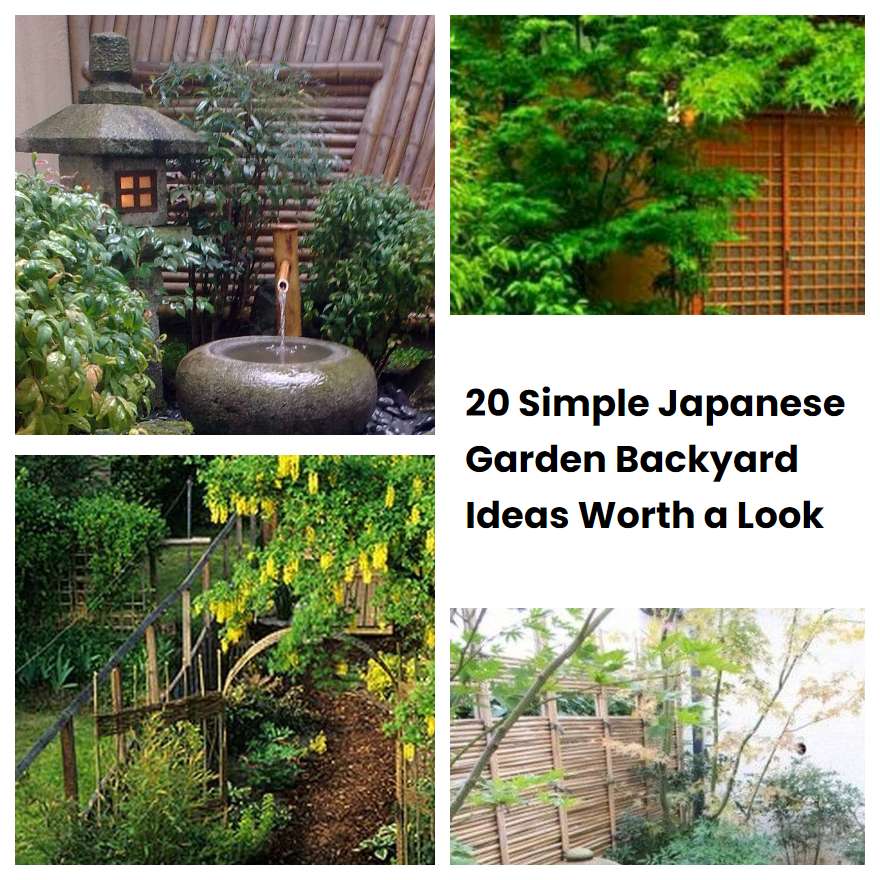 20 Simple Japanese Garden Backyard Ideas Worth a Look SharonSable