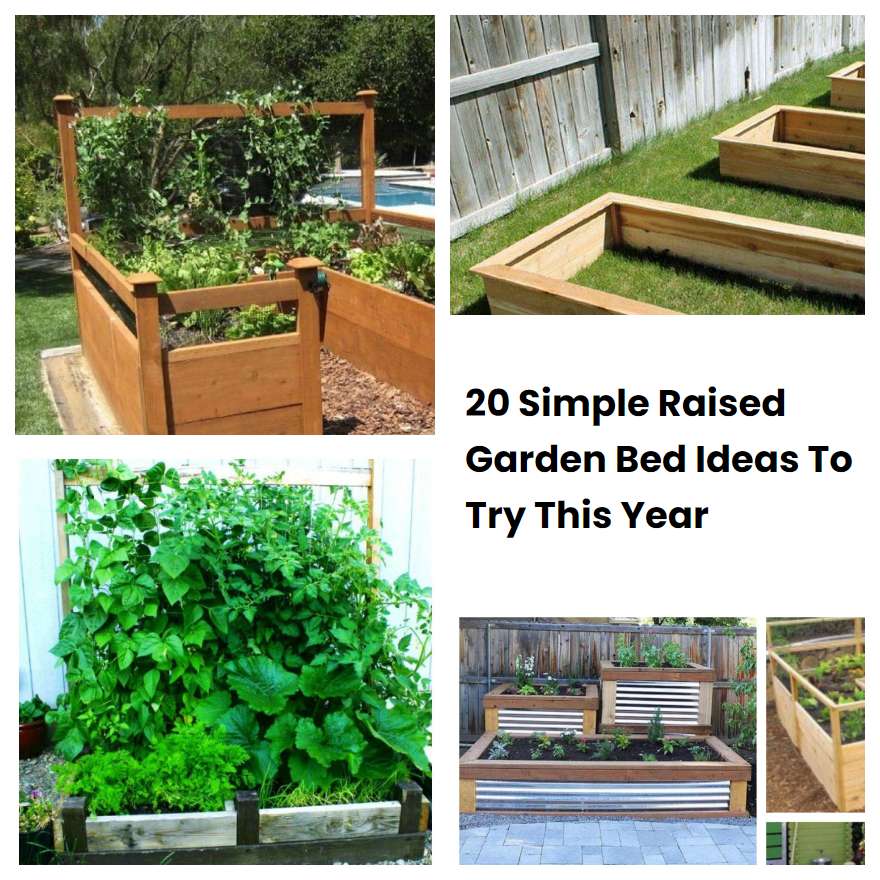 20 Simple Raised Garden Bed Ideas To Try This Year
