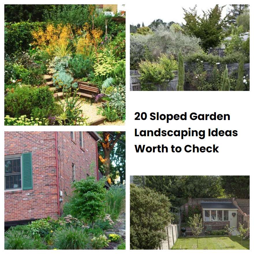 20 Sloped Garden Landscaping Ideas Worth to Check SharonSable