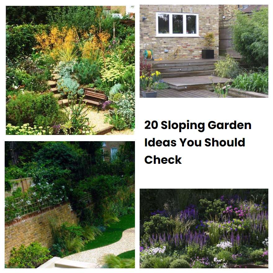 20 Sloping Garden Ideas You Should Check