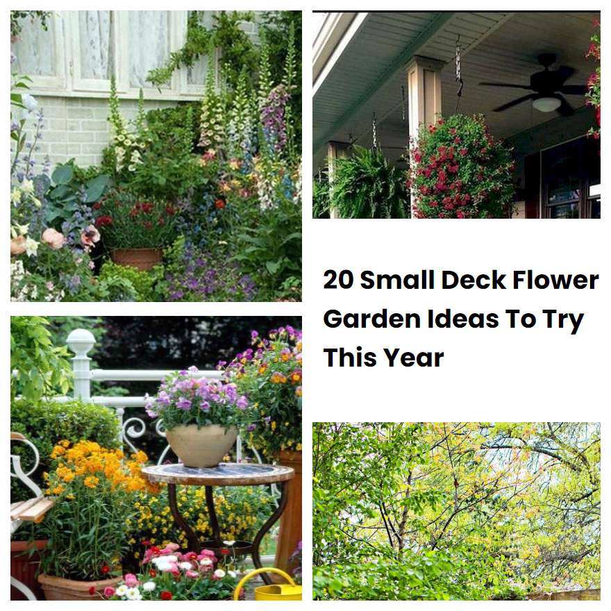 20 Small Deck Flower Garden Ideas To Try This Year SharonSable