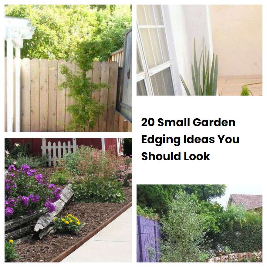 20 Small Garden Edging Ideas You Should Look