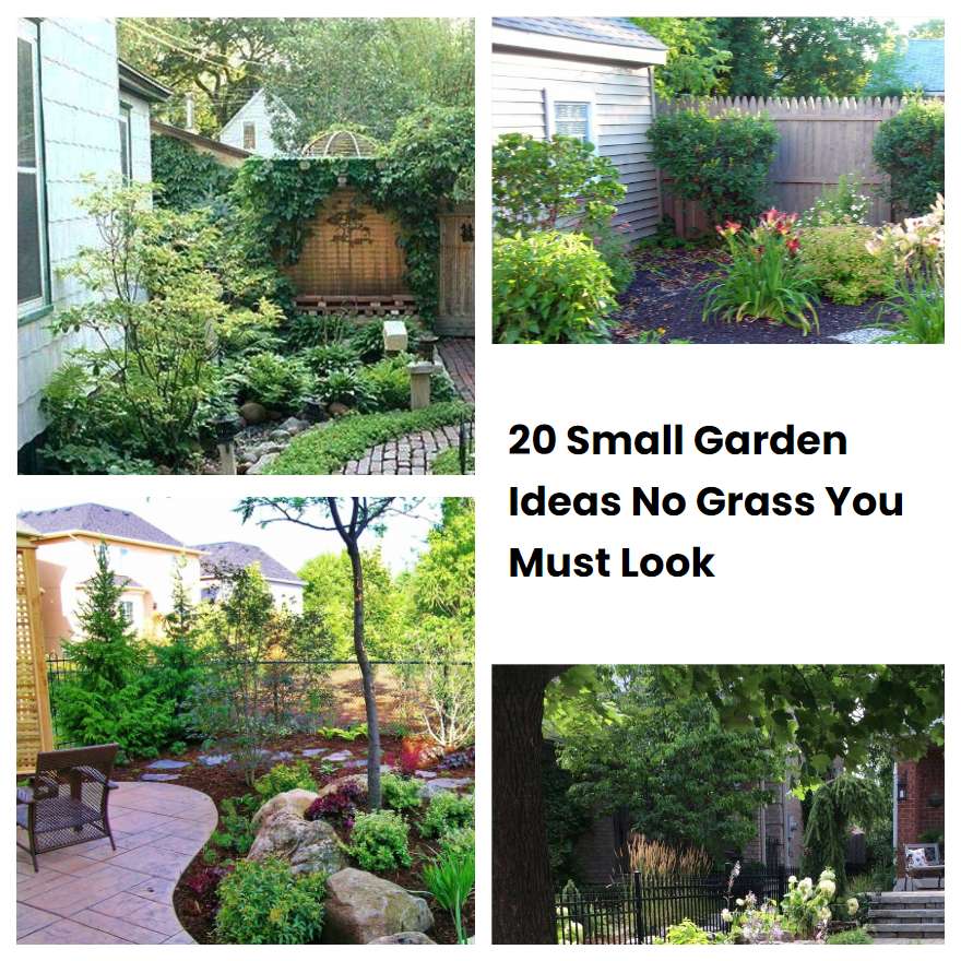 20 Small Garden Ideas No Grass You Must Look SharonSable