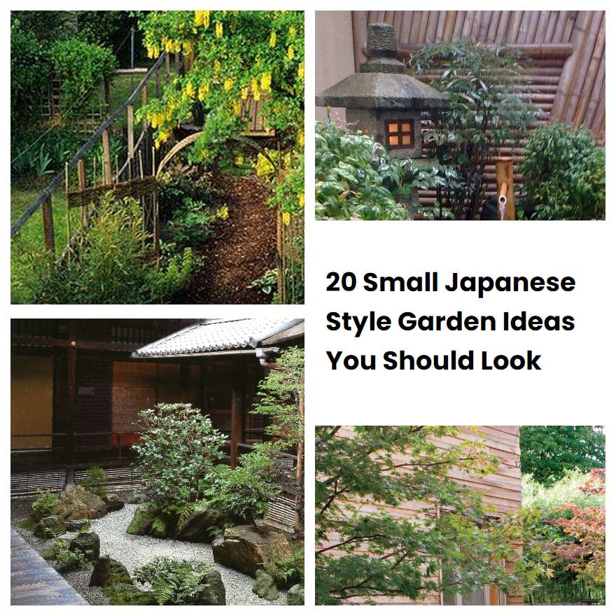 20 Small Japanese Style Garden Ideas You Should Look