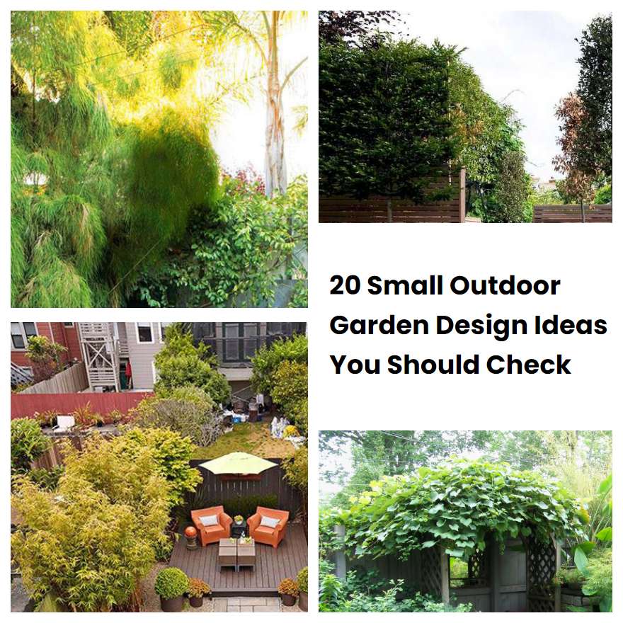 20 Small Outdoor Garden Design Ideas You Should Check SharonSable
